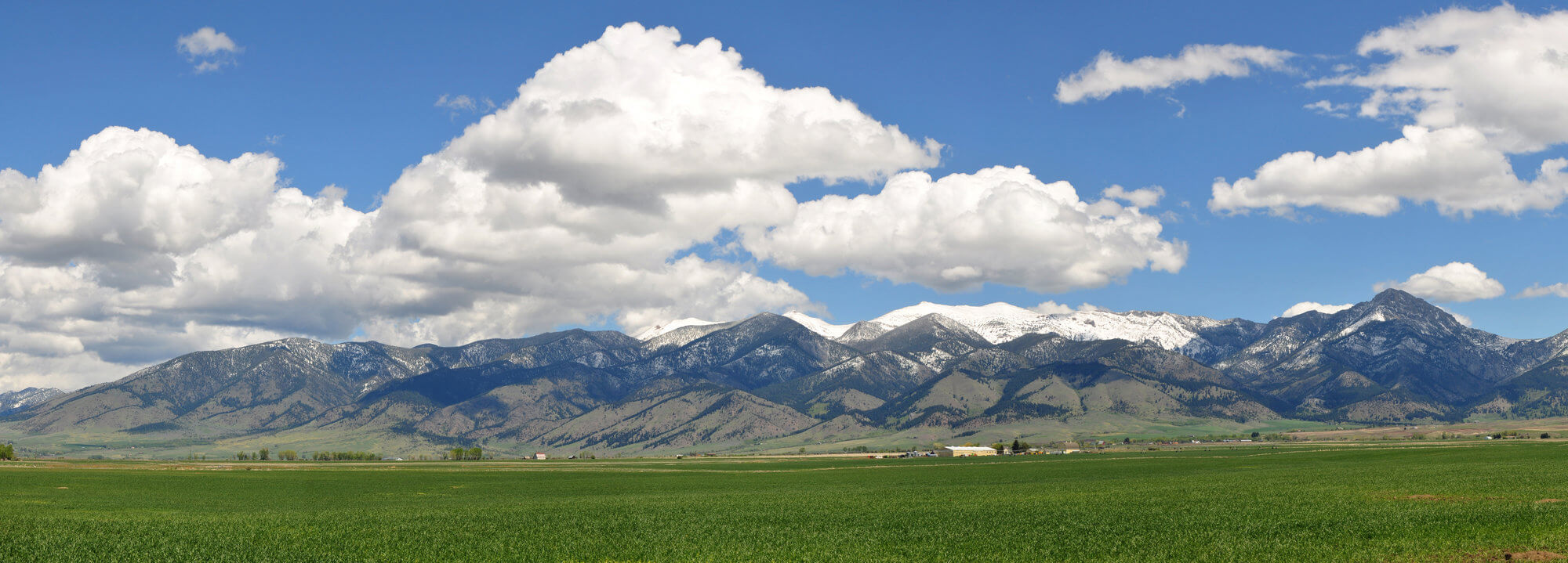 Gorgeous horizon view of the green fields and bright blue cloudy skies in Manhattan, Montana